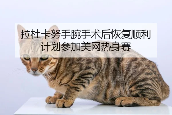 la-du-ka-nu-shou-wan-shou-shu-hou-hui-fu-shun-li-ji-hua-can-jia-mei-wang-re-shen-sai-3-145.jpg